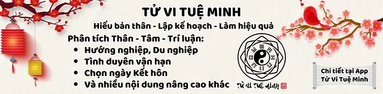 Tử Vi Tuệ Minh