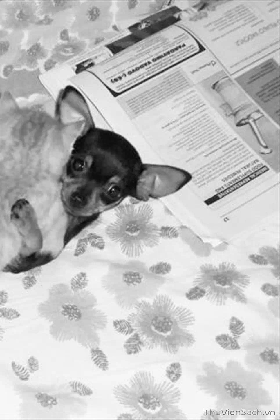 Truyện Tranh Cô Bé Ba Mắt - 3X3 Eyes trang 6