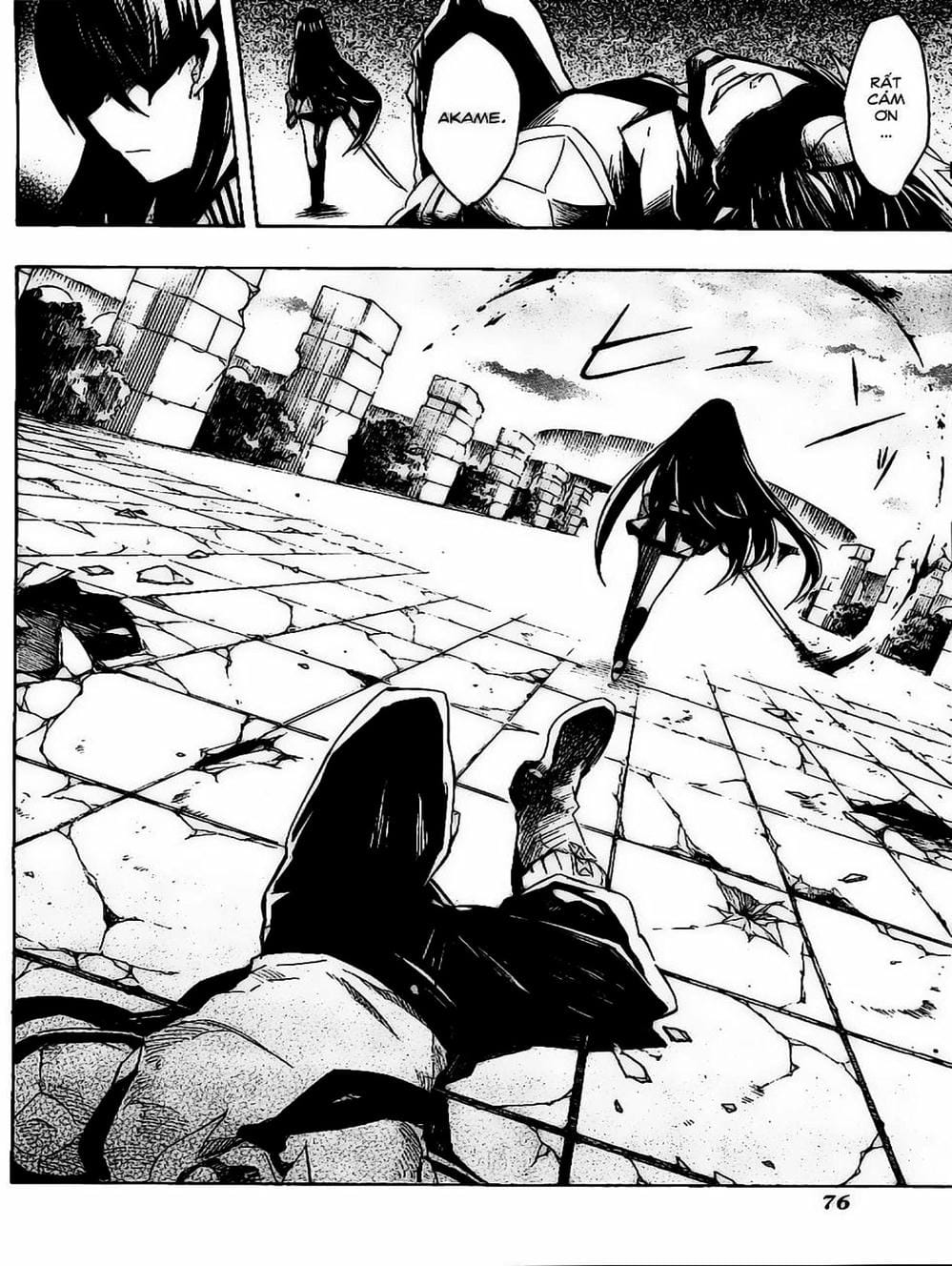 Truyện Tranh Xích Nhãn Sát Thủ - Akame Ga Kill! trang 7