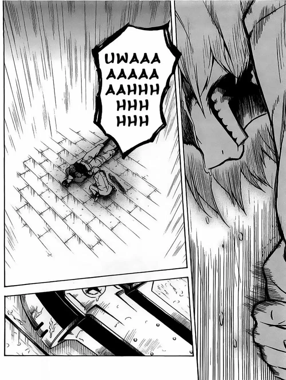 Truyện Tranh Xích Nhãn Sát Thủ - Akame Ga Kill! trang 7