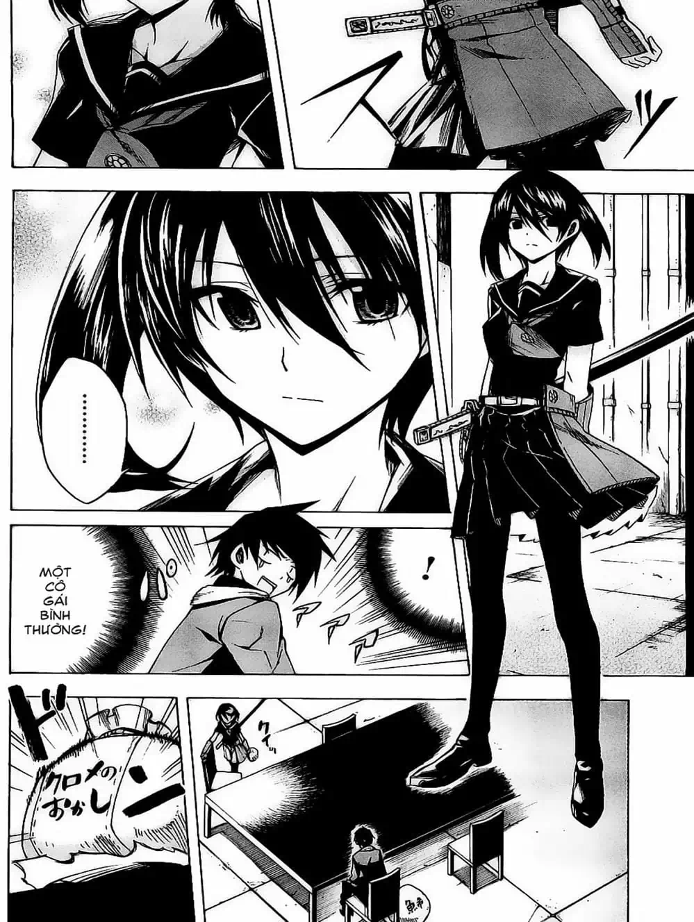 Truyện Tranh Xích Nhãn Sát Thủ - Akame Ga Kill! trang 7