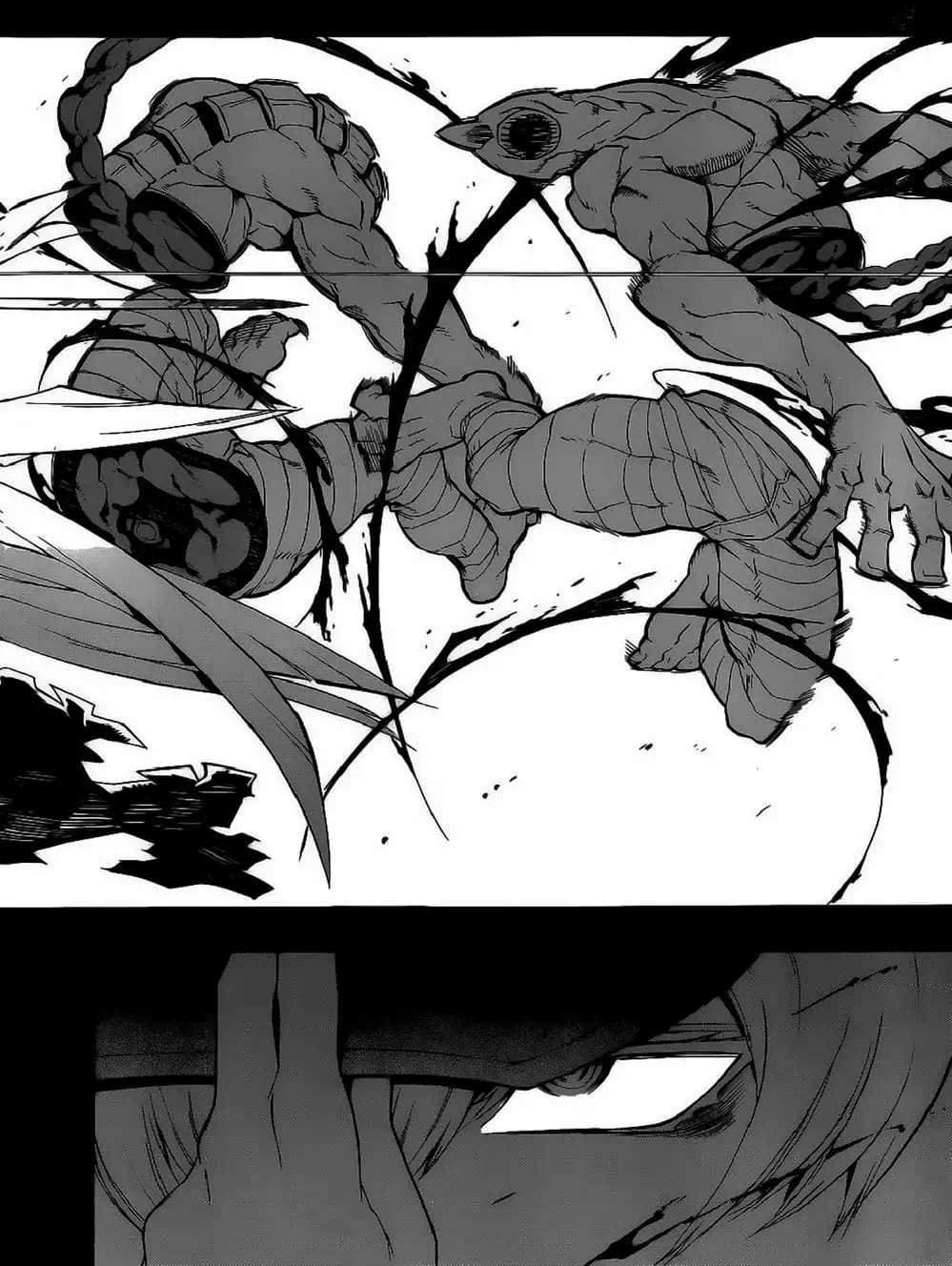 Truyện Tranh Xích Nhãn Sát Thủ - Akame Ga Kill! trang 7