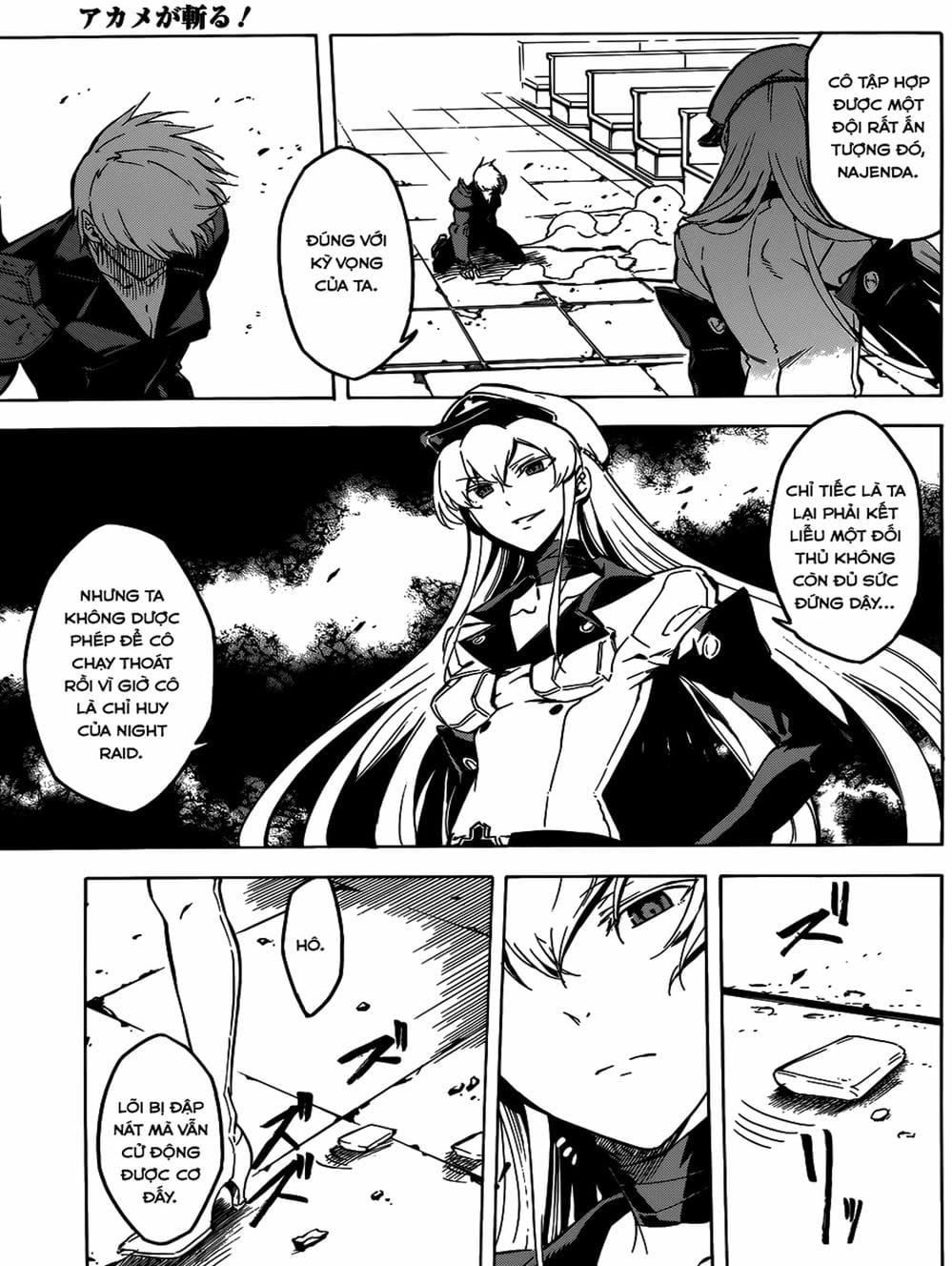 Truyện Tranh Xích Nhãn Sát Thủ - Akame Ga Kill! trang 7