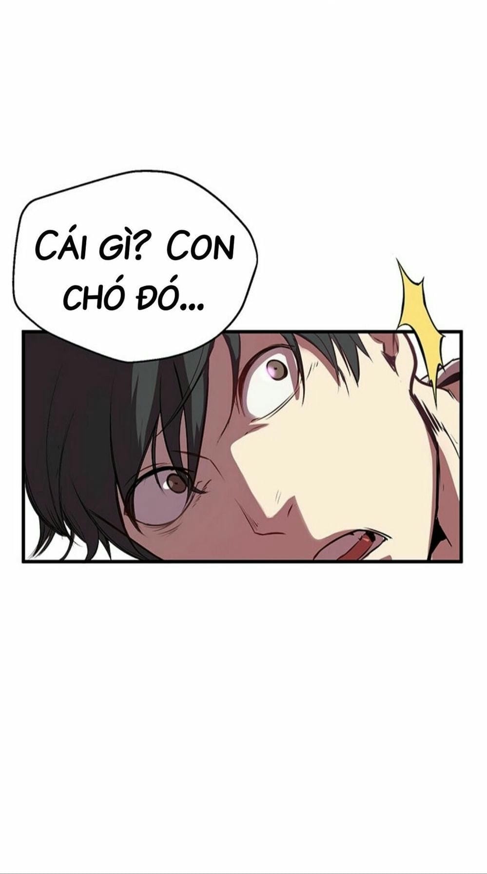 Truyện Tranh Anh Hùng Mạnh Nhất? Ta Không Làm Lâu Rồi! trang 5