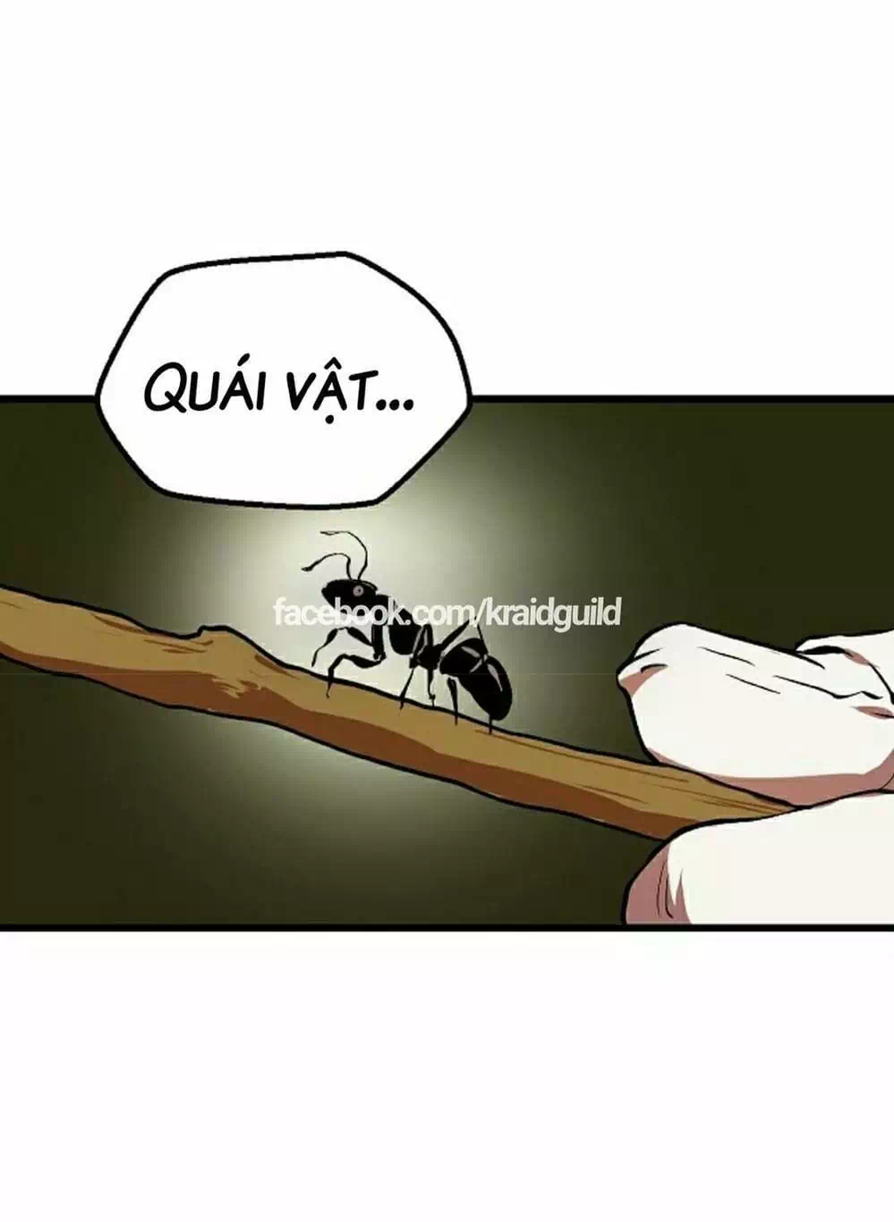 Truyện Tranh Anh Hùng Mạnh Nhất? Ta Không Làm Lâu Rồi! trang 5