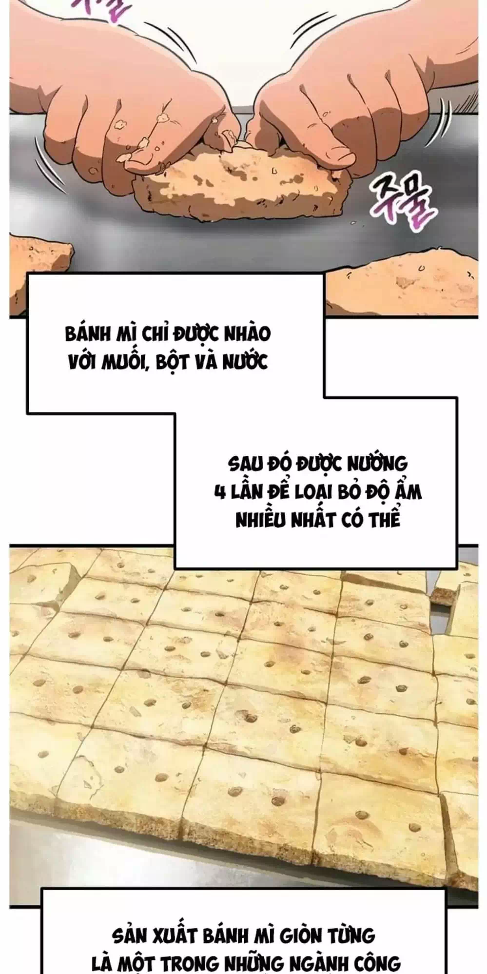 Truyện Tranh Anh Hùng Mạnh Nhất? Ta Không Làm Lâu Rồi! trang 5