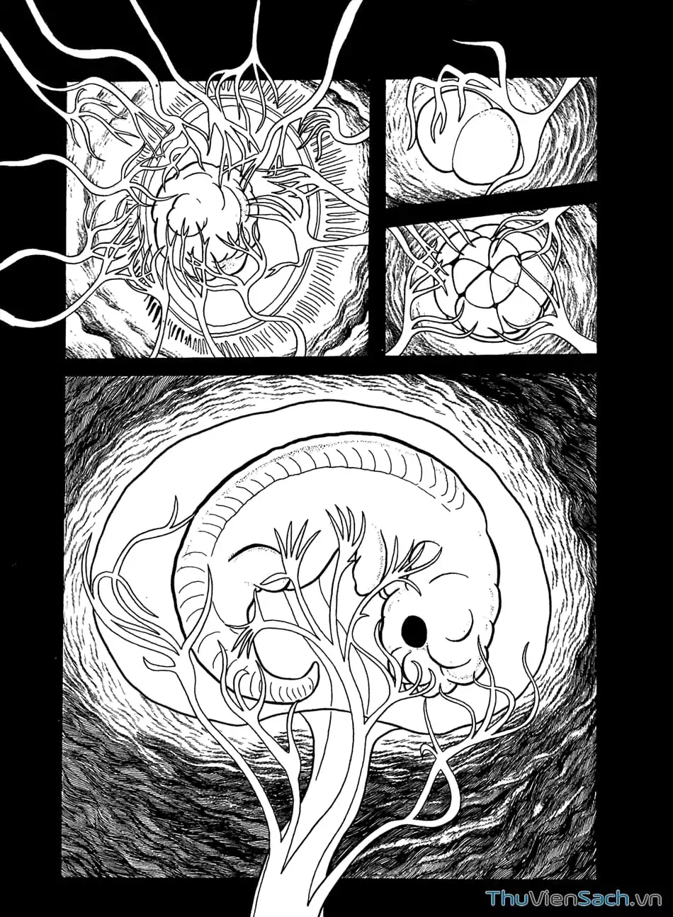 Truyện Tranh Bài Hát Của Apollo - Apollo’s Song trang 2