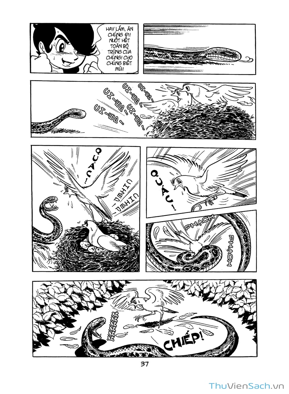 Truyện Tranh Bài Hát Của Apollo - Apollo’s Song trang 2