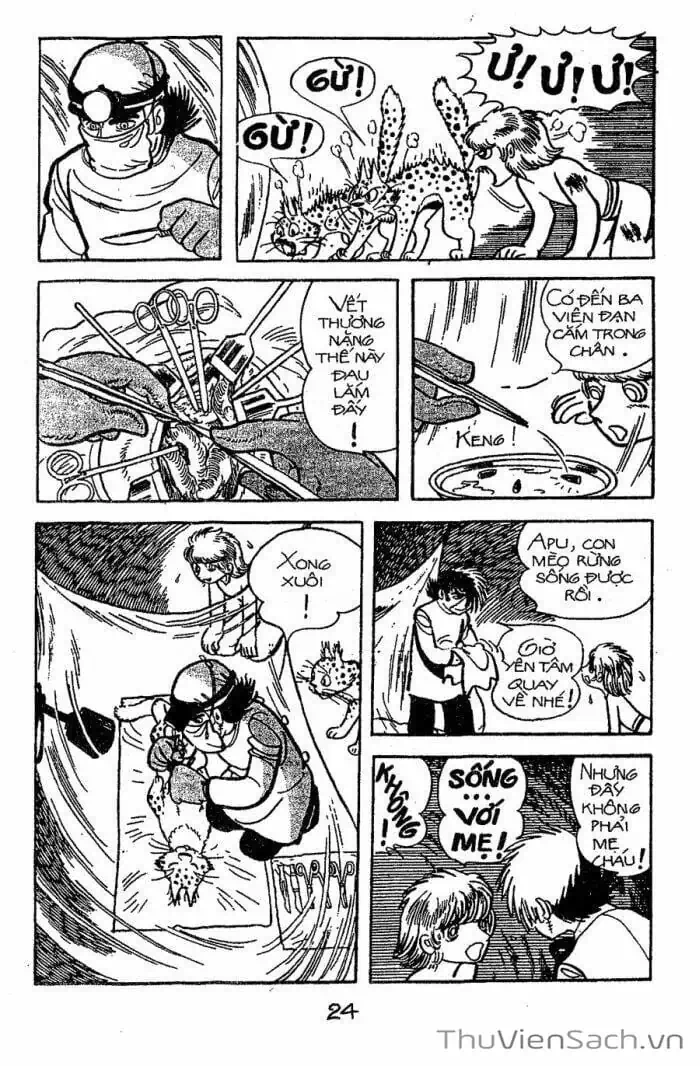 Truyện Tranh Bác Sĩ Quái Dị - Black Jack trang 3