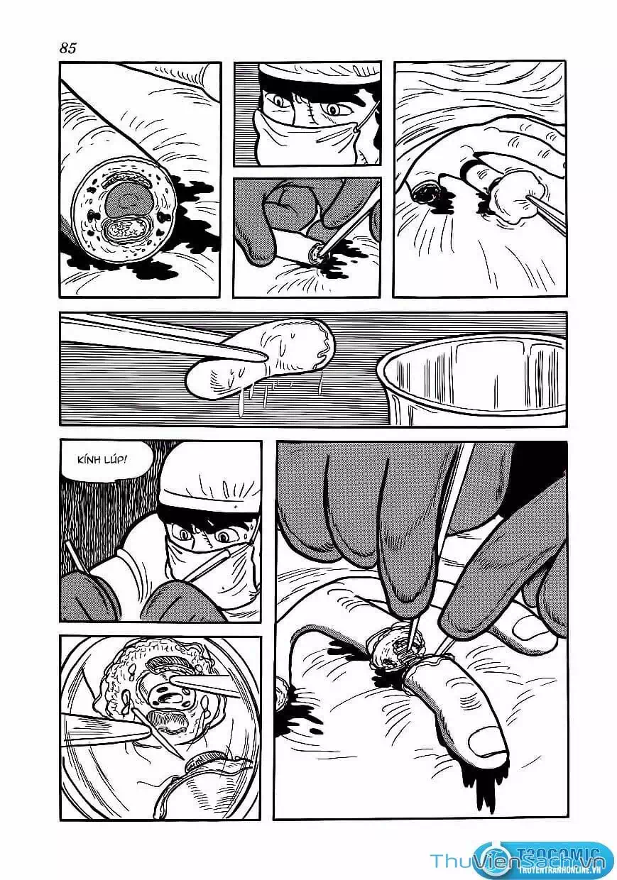 Truyện Tranh Bác Sĩ Quái Dị - Black Jack trang 3
