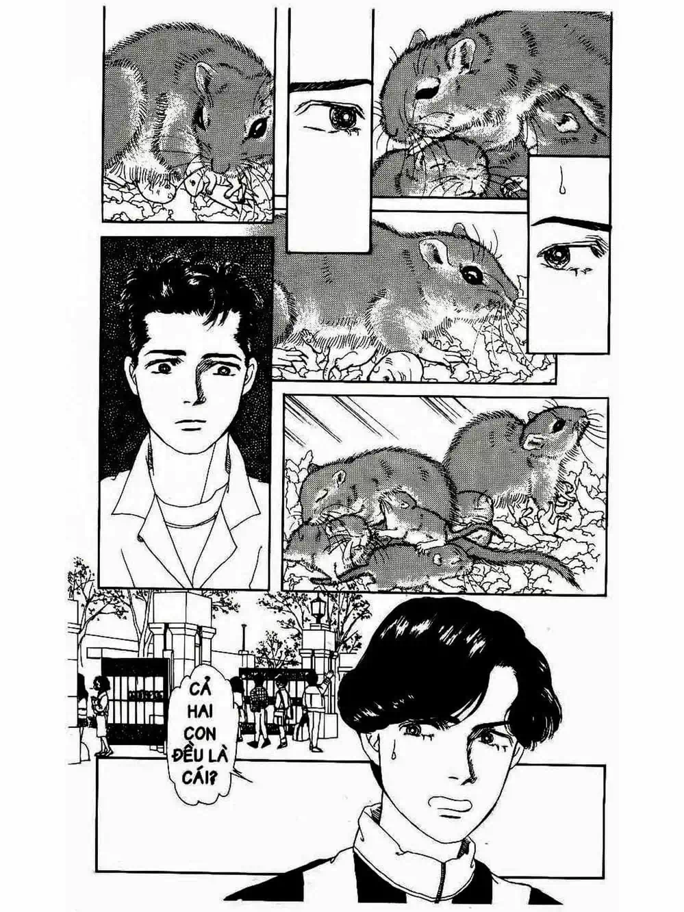 Truyện Tranh Bác Sĩ Thú Y - Doubutsu No Oisha-San trang 4