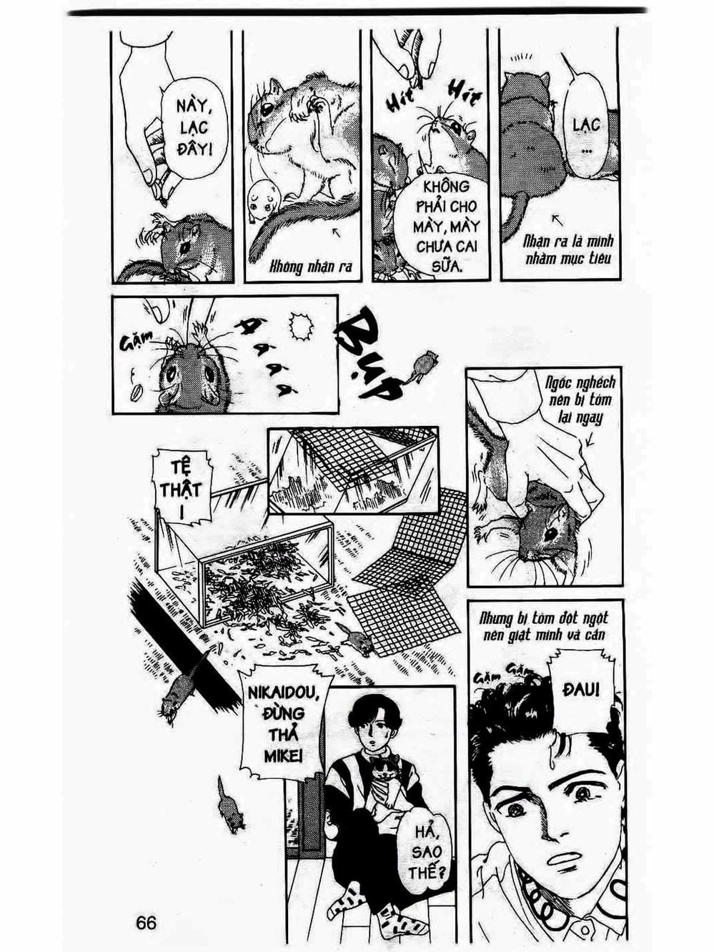 Truyện Tranh Bác Sĩ Thú Y - Doubutsu No Oisha-San trang 4