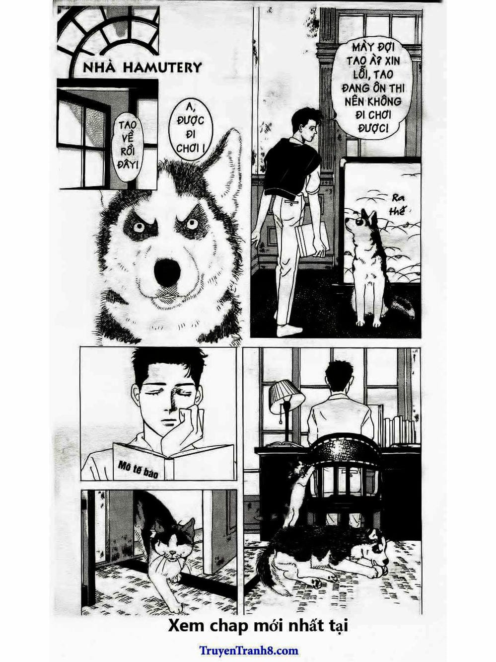 Truyện Tranh Bác Sĩ Thú Y - Doubutsu No Oisha-San trang 4