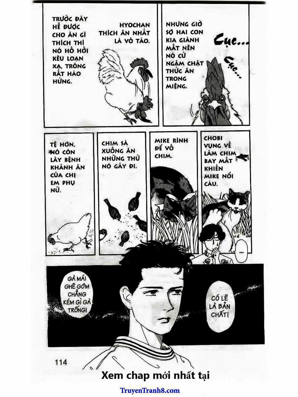 Truyện Tranh Bác Sĩ Thú Y - Doubutsu No Oisha-San trang 4