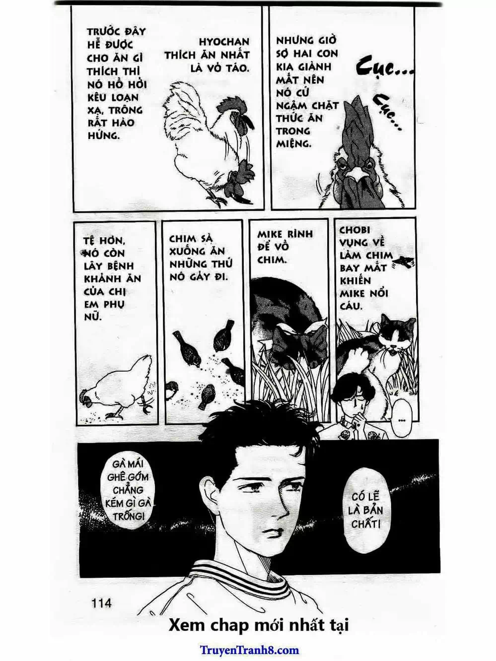 Truyện Tranh Bác Sĩ Thú Y - Doubutsu No Oisha-San trang 4