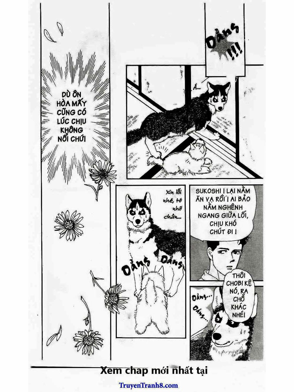 Truyện Tranh Bác Sĩ Thú Y - Doubutsu No Oisha-San trang 4