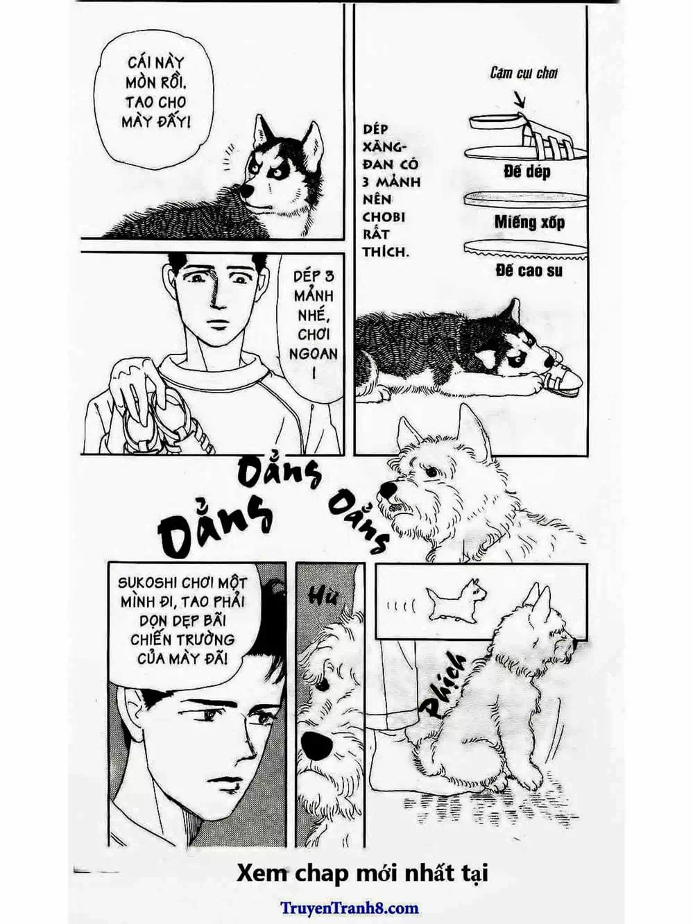 Truyện Tranh Bác Sĩ Thú Y - Doubutsu No Oisha-San trang 4