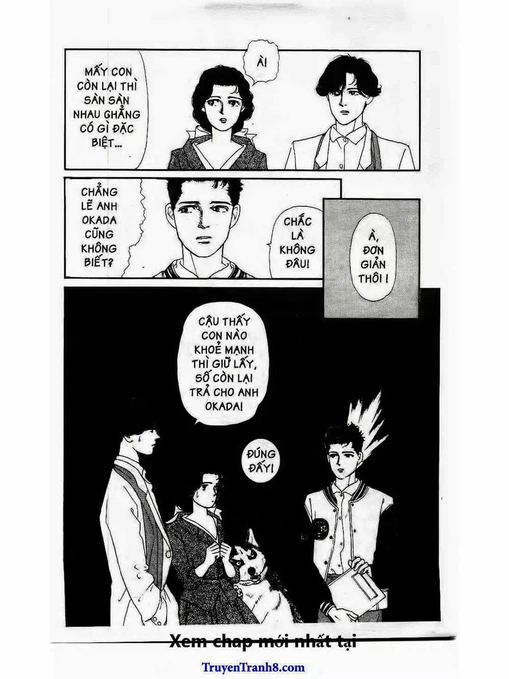 Truyện Tranh Bác Sĩ Thú Y - Doubutsu No Oisha-San trang 4