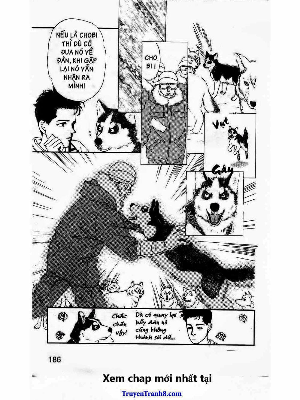 Truyện Tranh Bác Sĩ Thú Y - Doubutsu No Oisha-San trang 4