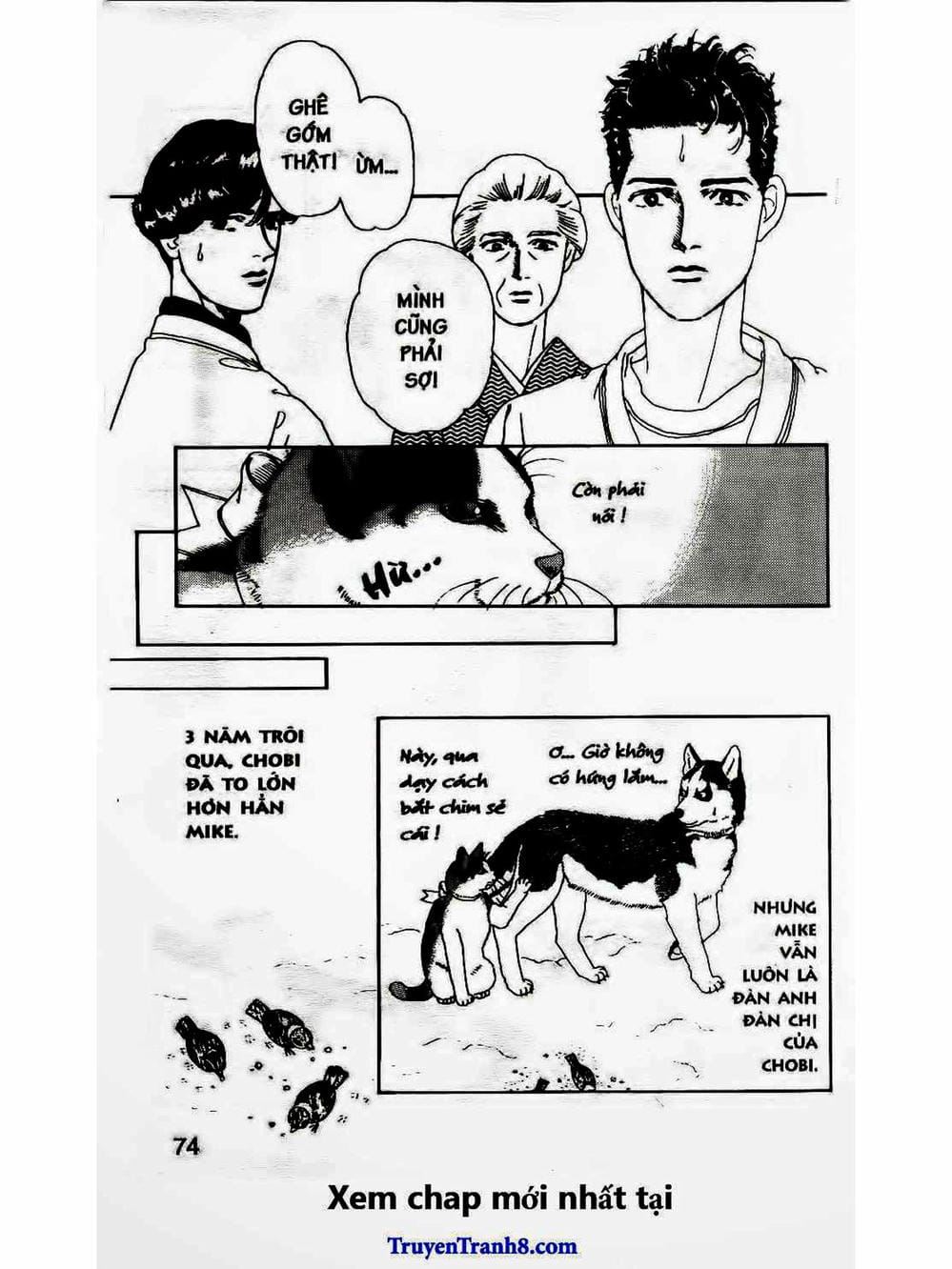 Truyện Tranh Bác Sĩ Thú Y - Doubutsu No Oisha-San trang 4