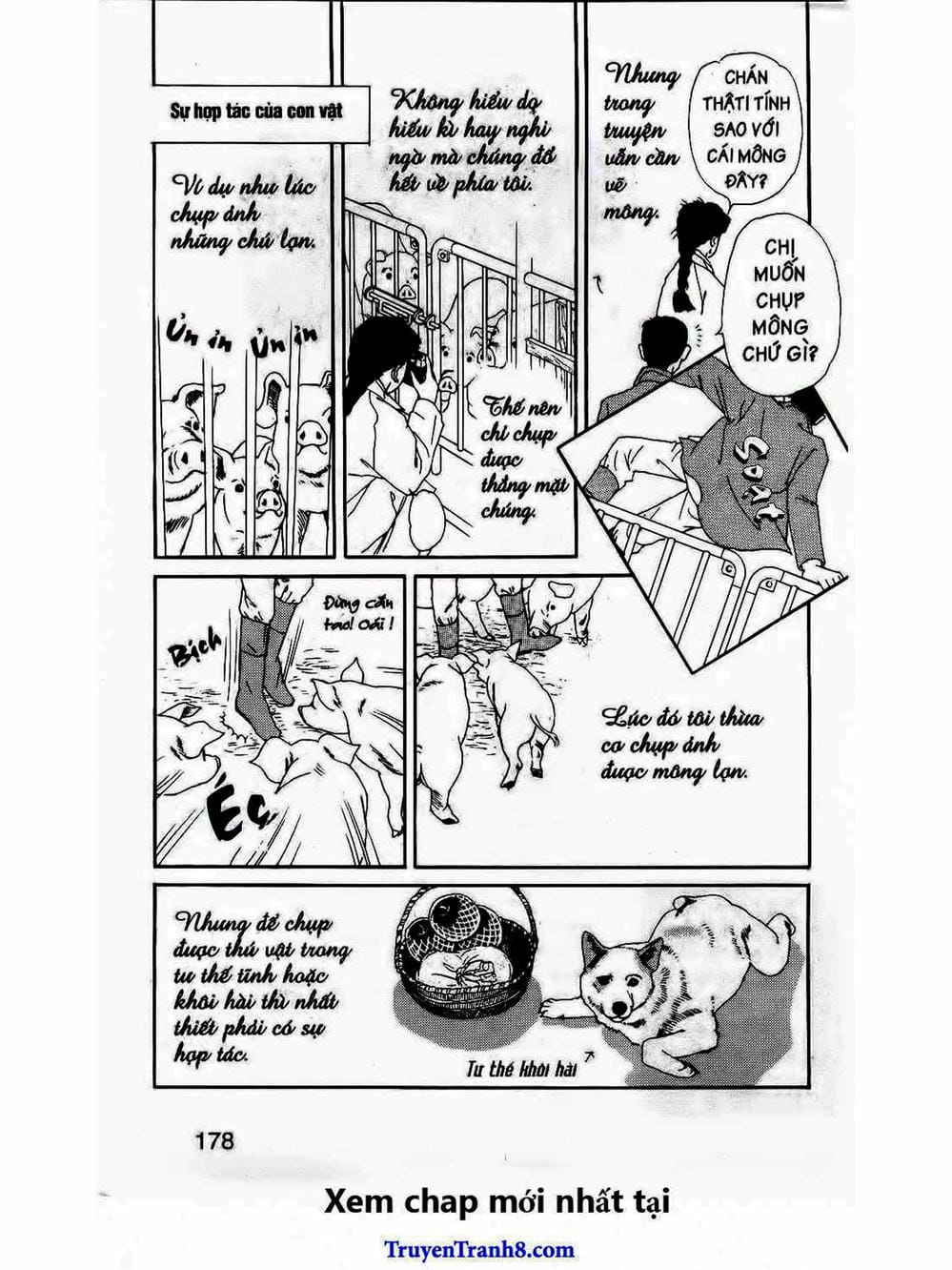 Truyện Tranh Bác Sĩ Thú Y - Doubutsu No Oisha-San trang 4