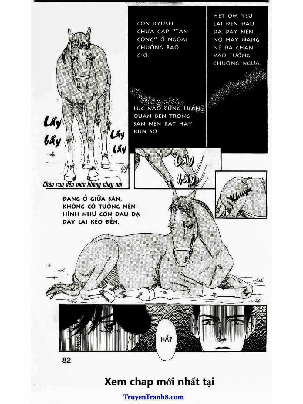 Truyện Tranh Bác Sĩ Thú Y - Doubutsu No Oisha-San trang 4