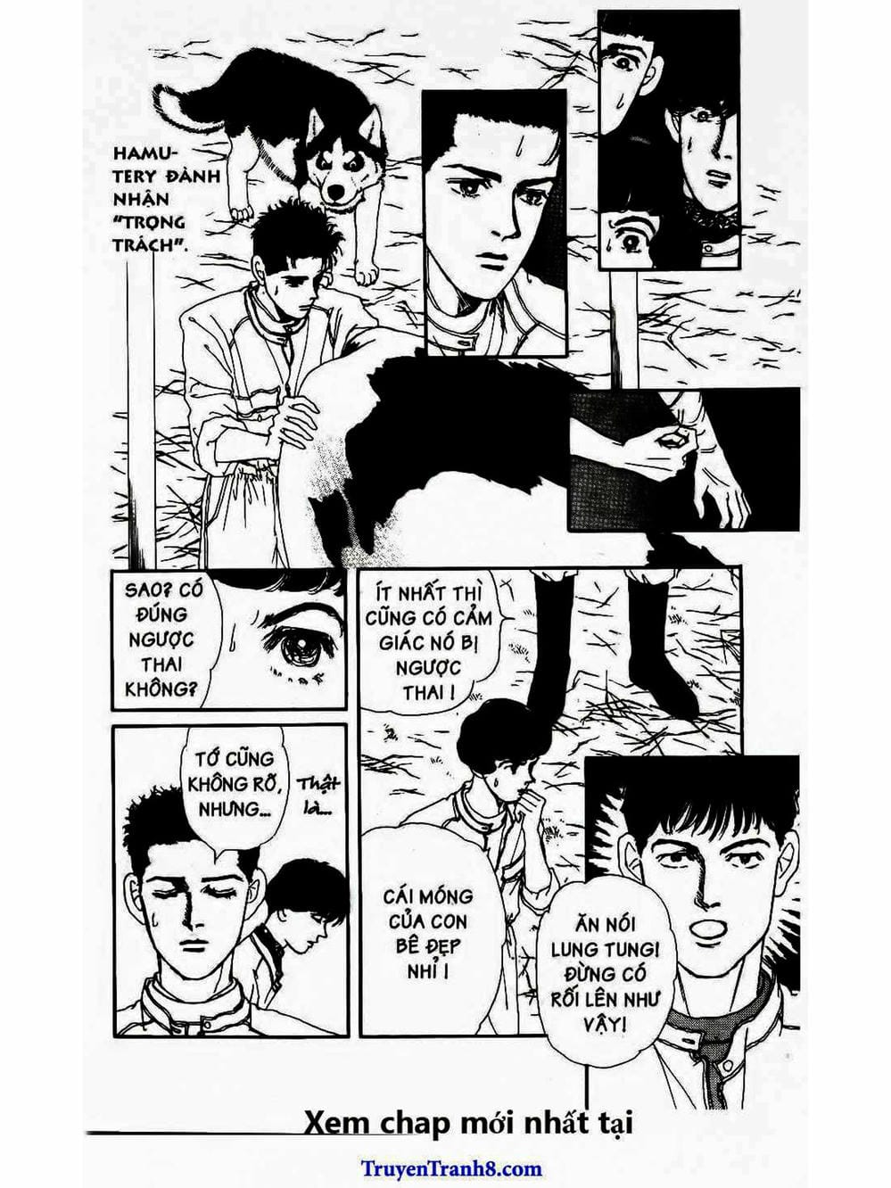 Truyện Tranh Bác Sĩ Thú Y - Doubutsu No Oisha-San trang 4