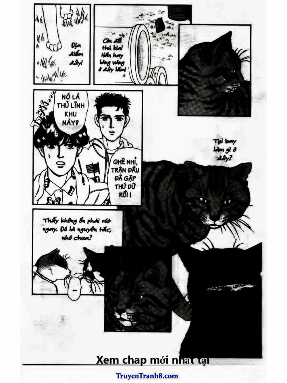 Truyện Tranh Bác Sĩ Thú Y - Doubutsu No Oisha-San trang 4