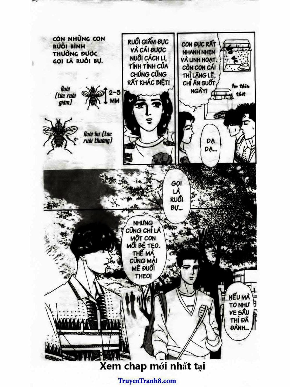 Truyện Tranh Bác Sĩ Thú Y - Doubutsu No Oisha-San trang 4