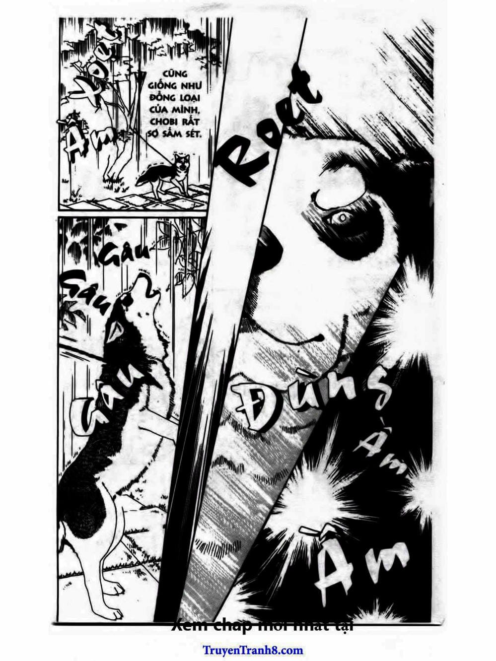 Truyện Tranh Bác Sĩ Thú Y - Doubutsu No Oisha-San trang 4