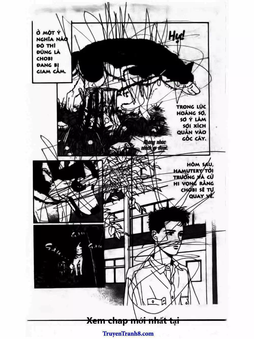 Truyện Tranh Bác Sĩ Thú Y - Doubutsu No Oisha-San trang 4