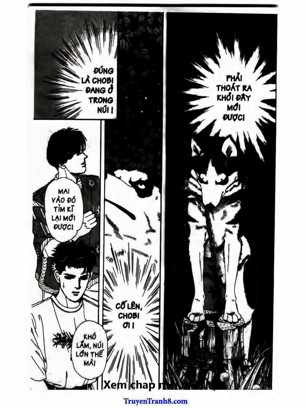 Truyện Tranh Bác Sĩ Thú Y - Doubutsu No Oisha-San trang 4