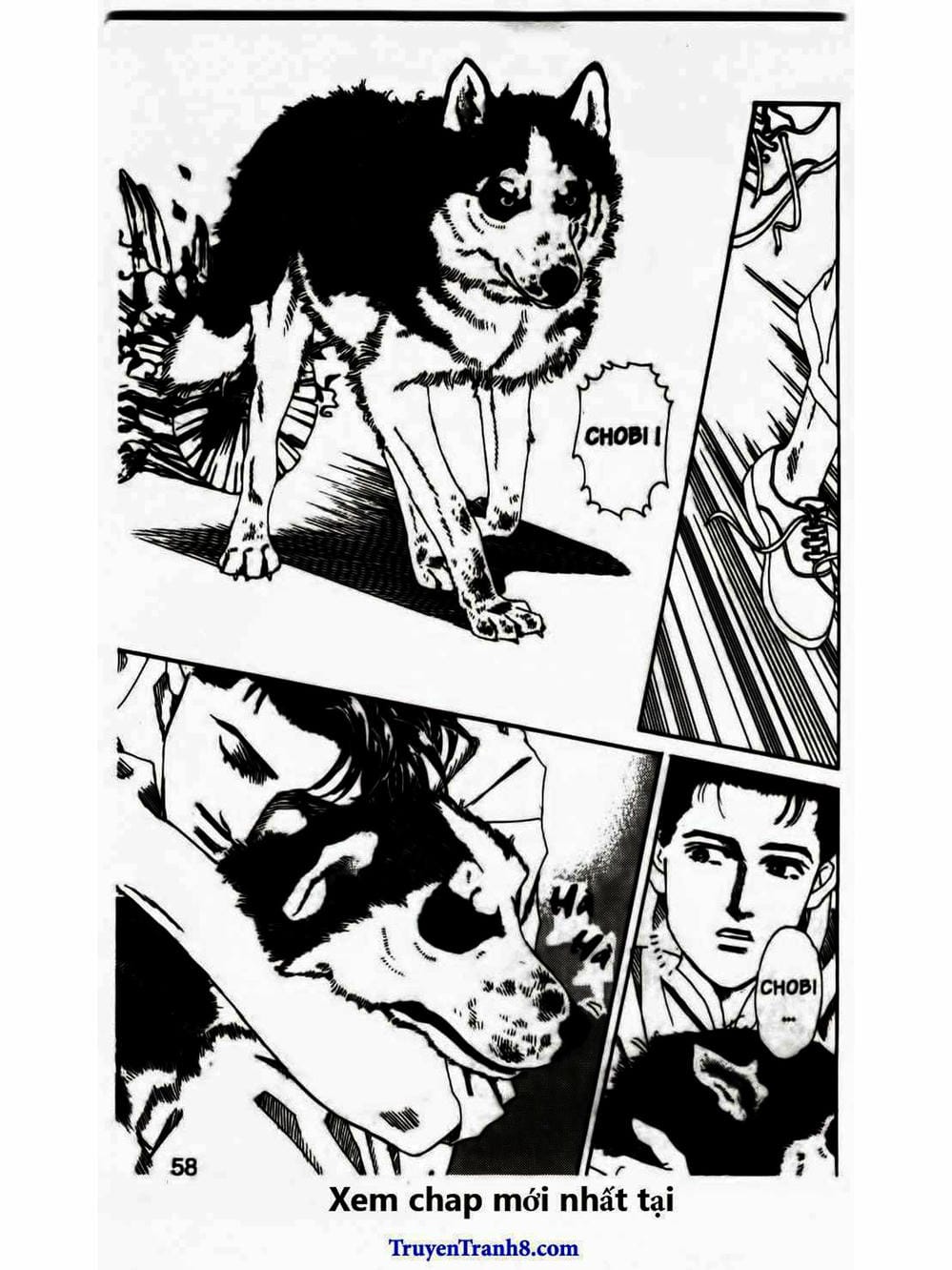 Truyện Tranh Bác Sĩ Thú Y - Doubutsu No Oisha-San trang 4