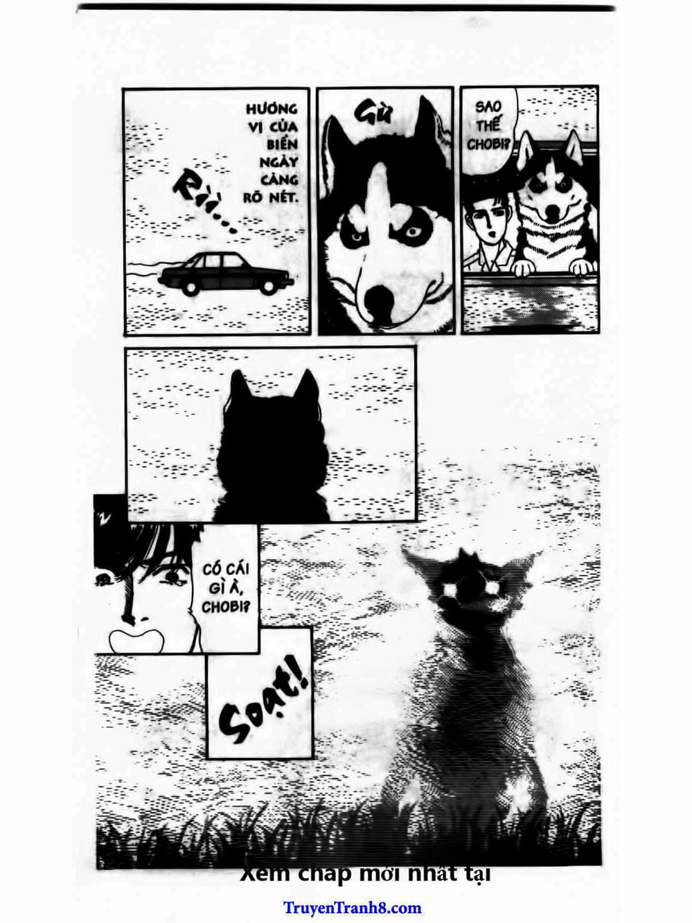 Truyện Tranh Bác Sĩ Thú Y - Doubutsu No Oisha-San trang 4