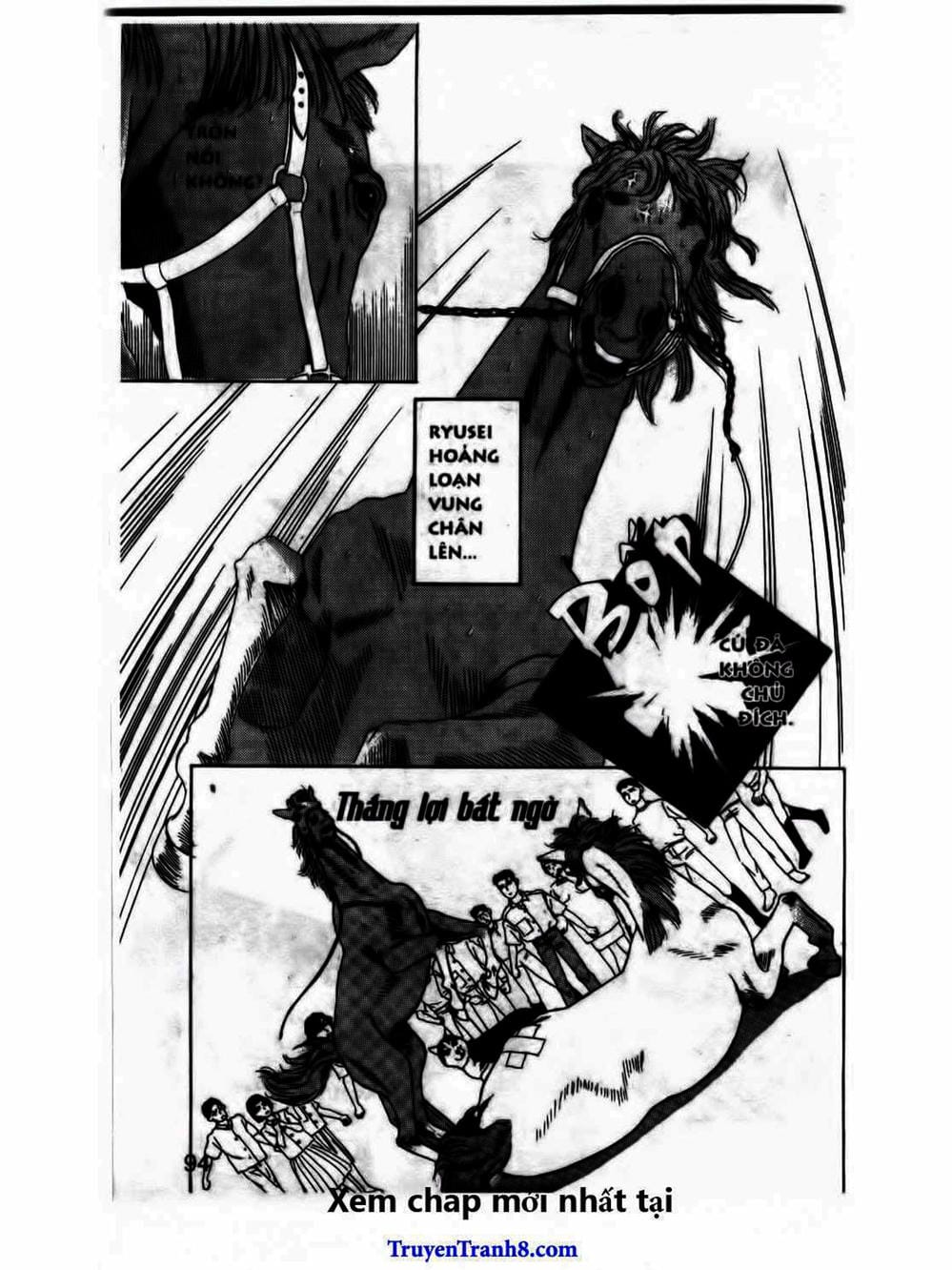 Truyện Tranh Bác Sĩ Thú Y - Doubutsu No Oisha-San trang 4