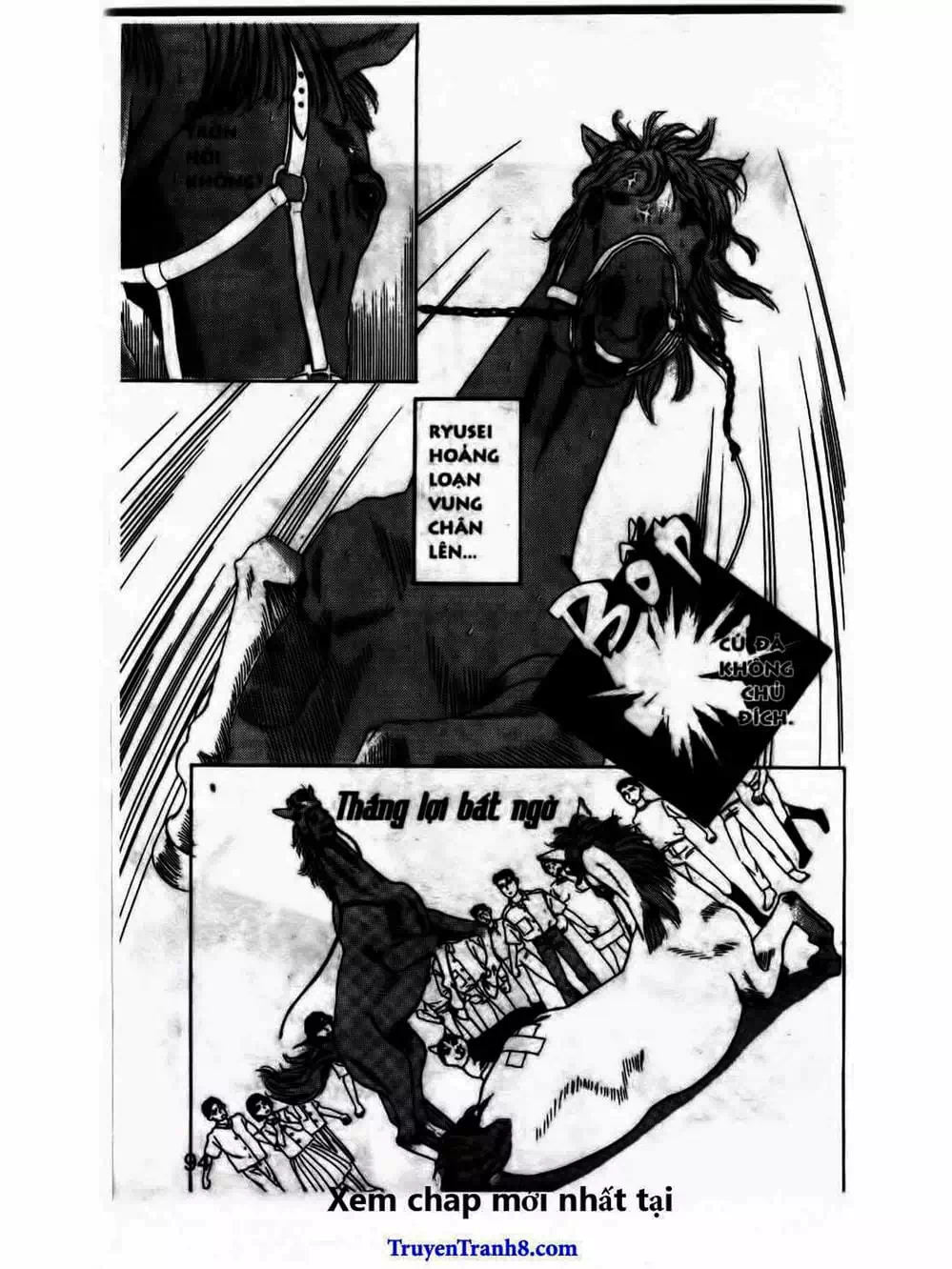 Truyện Tranh Bác Sĩ Thú Y - Doubutsu No Oisha-San trang 4