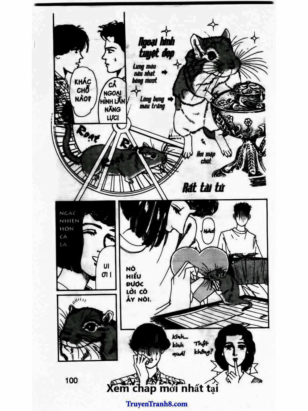 Truyện Tranh Bác Sĩ Thú Y - Doubutsu No Oisha-San trang 4