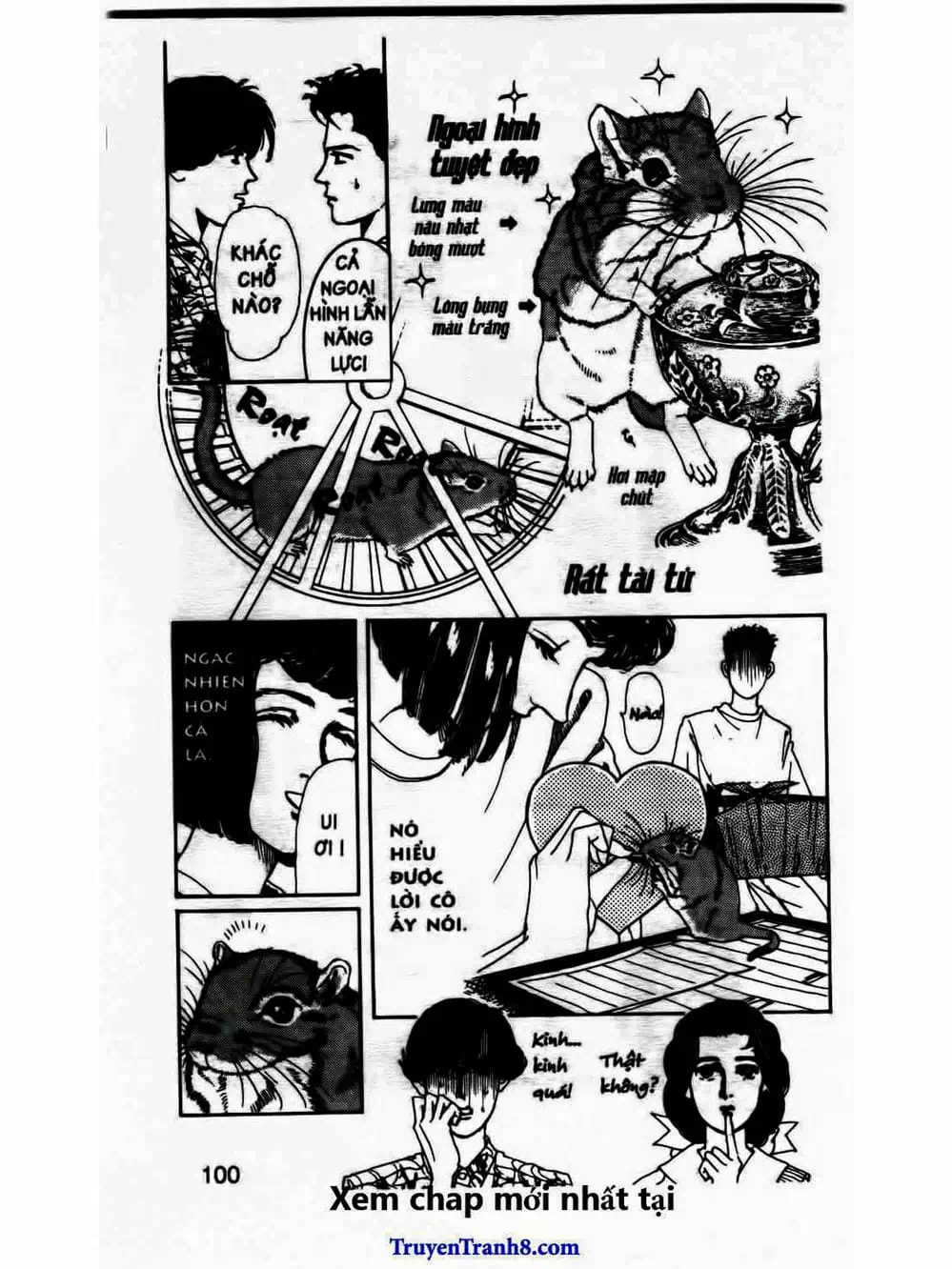 Truyện Tranh Bác Sĩ Thú Y - Doubutsu No Oisha-San trang 4