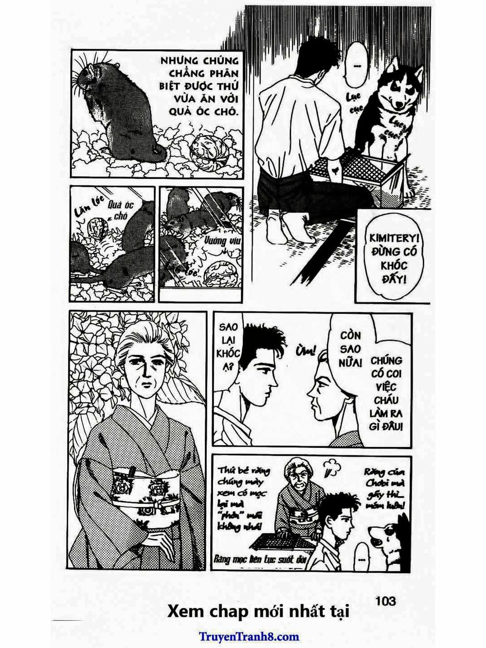 Truyện Tranh Bác Sĩ Thú Y - Doubutsu No Oisha-San trang 4