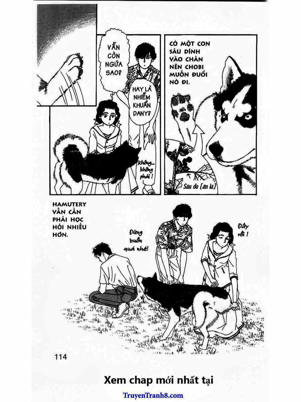 Truyện Tranh Bác Sĩ Thú Y - Doubutsu No Oisha-San trang 4