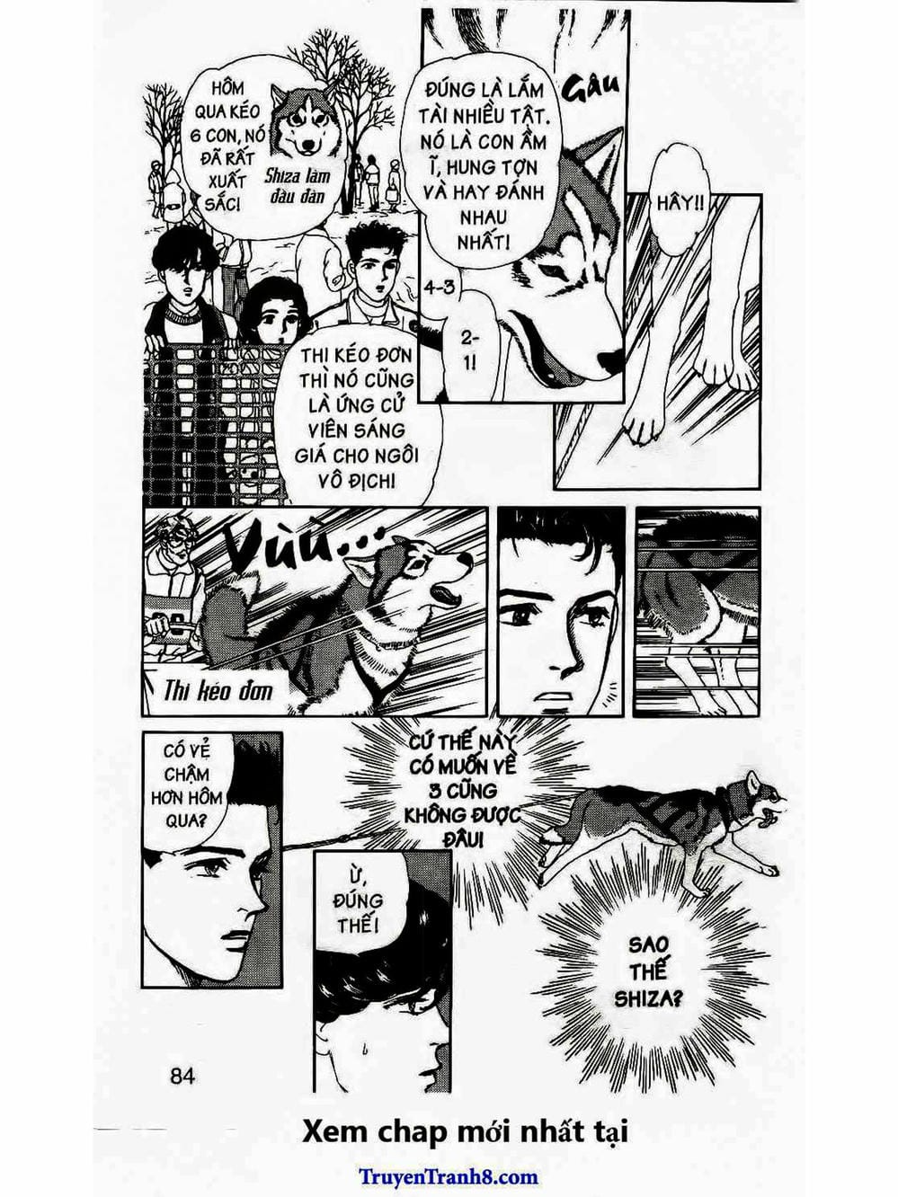 Truyện Tranh Bác Sĩ Thú Y - Doubutsu No Oisha-San trang 4