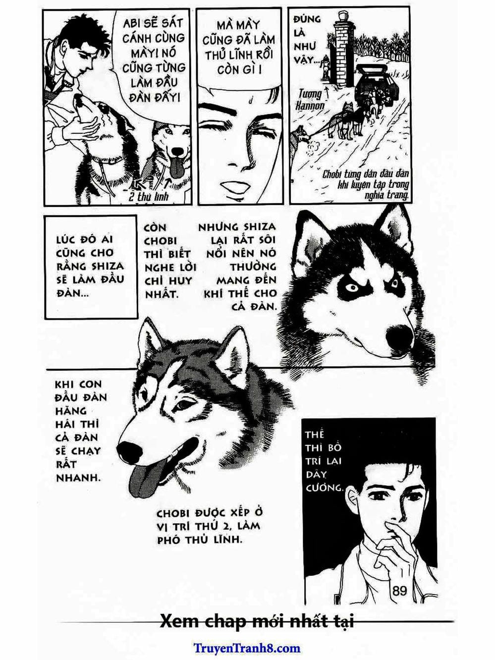 Truyện Tranh Bác Sĩ Thú Y - Doubutsu No Oisha-San trang 4