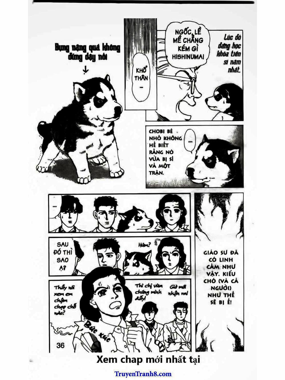 Truyện Tranh Bác Sĩ Thú Y - Doubutsu No Oisha-San trang 4