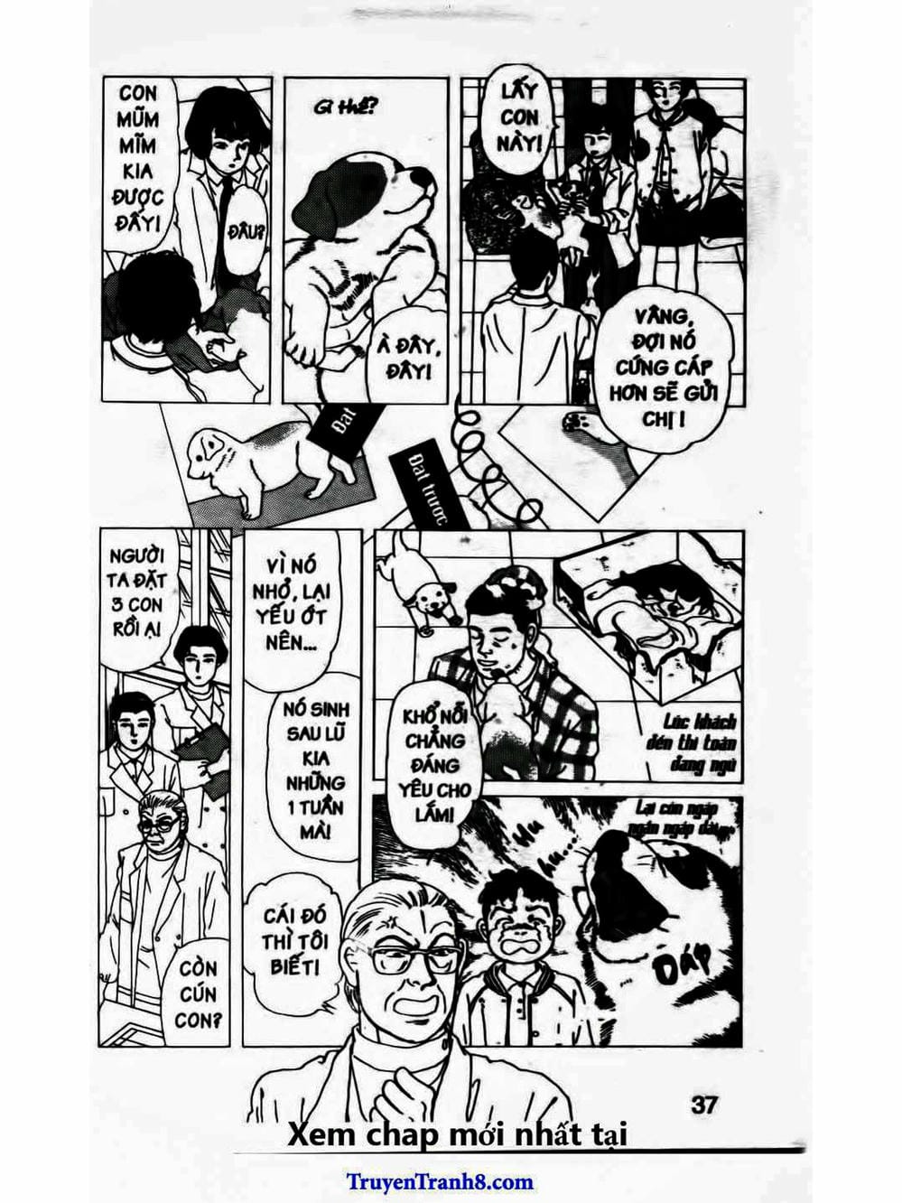 Truyện Tranh Bác Sĩ Thú Y - Doubutsu No Oisha-San trang 4