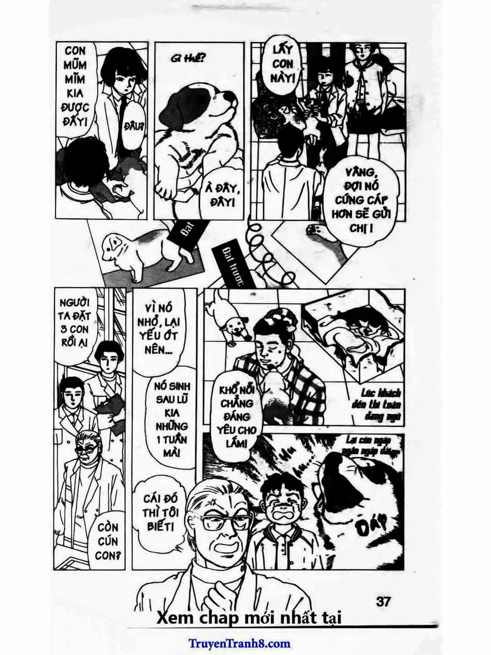 Truyện Tranh Bác Sĩ Thú Y - Doubutsu No Oisha-San trang 4