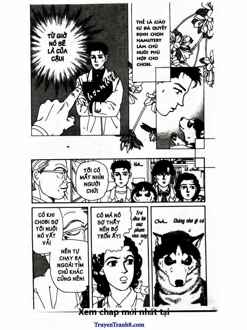 Truyện Tranh Bác Sĩ Thú Y - Doubutsu No Oisha-San trang 4