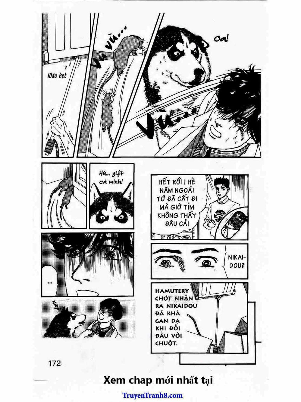 Truyện Tranh Bác Sĩ Thú Y - Doubutsu No Oisha-San trang 4