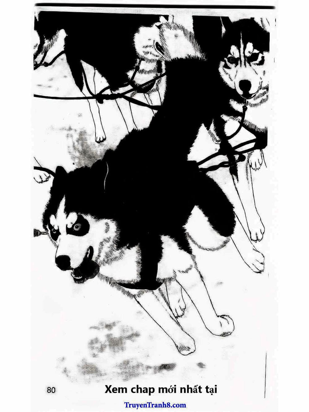 Truyện Tranh Bác Sĩ Thú Y - Doubutsu No Oisha-San trang 4