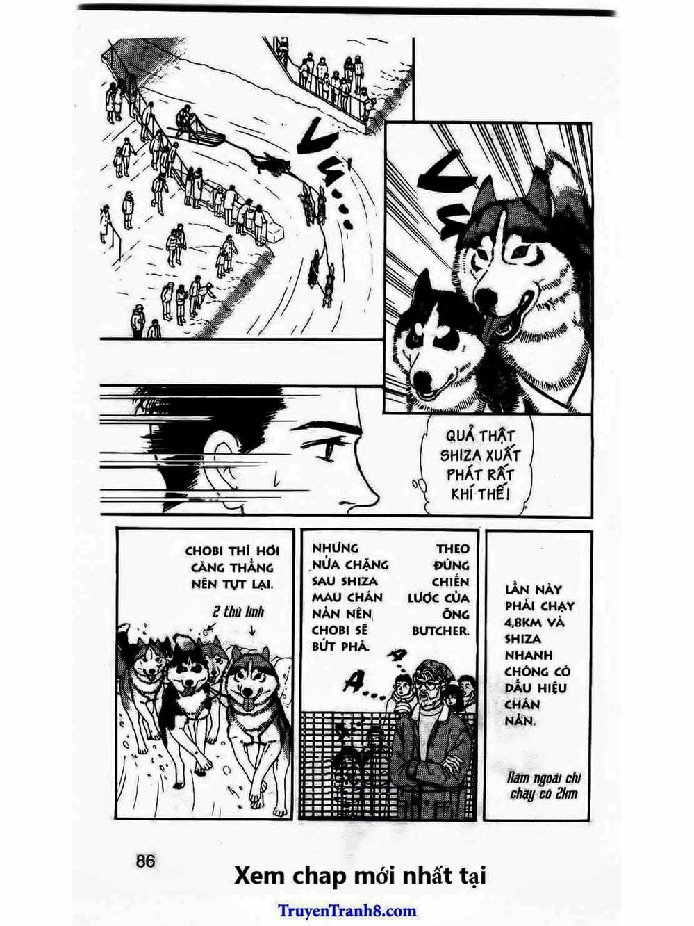 Truyện Tranh Bác Sĩ Thú Y - Doubutsu No Oisha-San trang 4