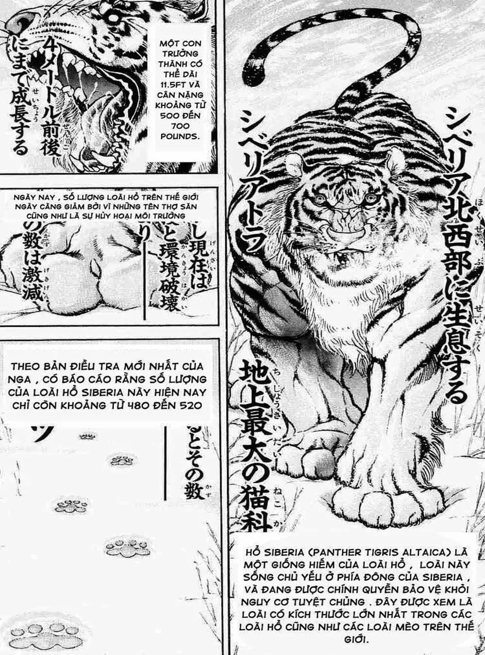 Truyện Tranh Baki - Con Trai Của Quỷ trang 5